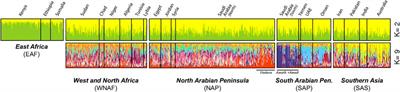 Exploiting morphobiometric and genomic variability of African indigenous camel populations-A review